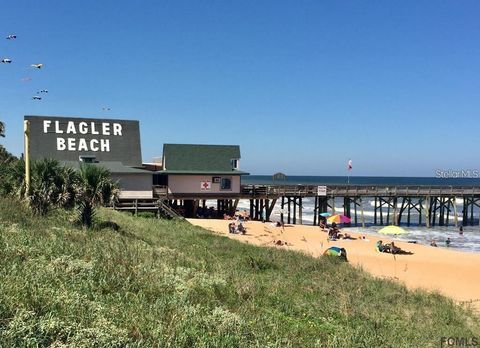 A home in FLAGLER BEACH