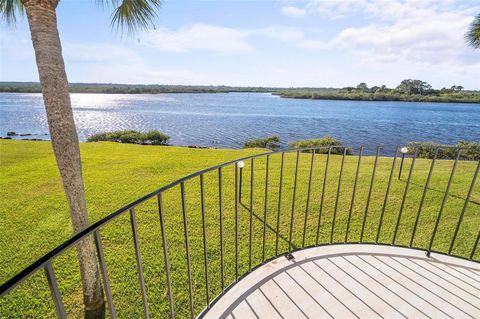 A home in FLAGLER BEACH