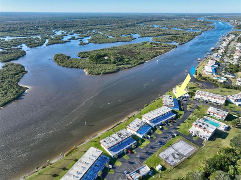 A home in FLAGLER BEACH