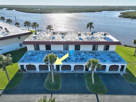 A home in FLAGLER BEACH