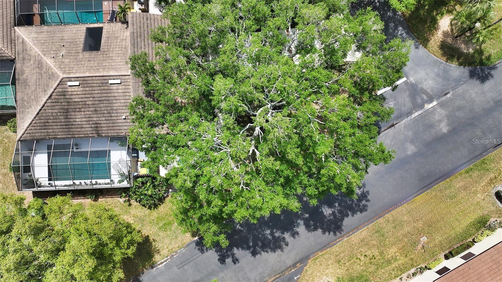 GLEN OAKS MANOR - Residential