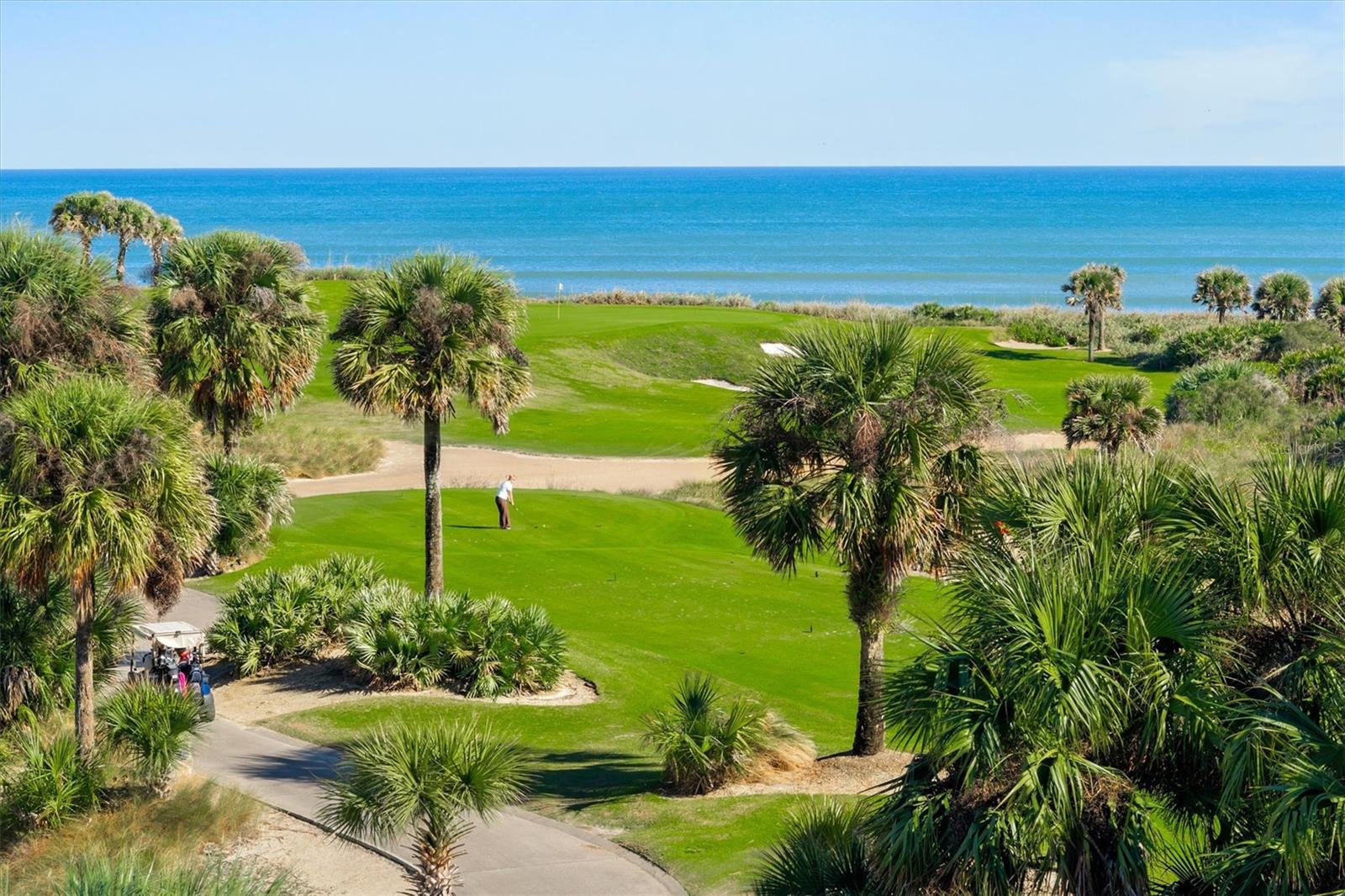 OCEAN HAMMOCK - Residential