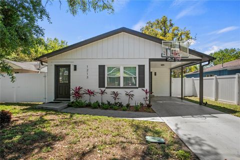 1213 E EMMA STREET TAMPA FL 33603