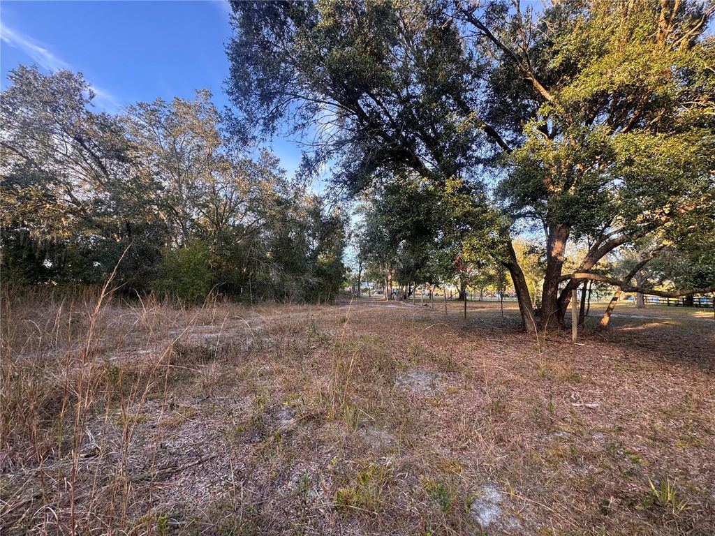 Photo of 3960 NW Bachtold Drive, Arcadia, FL 34266 (MLS # C7519234)