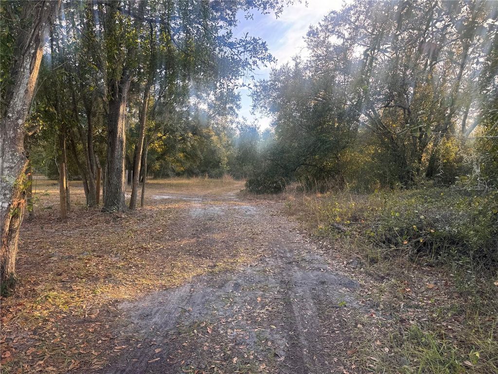 Photo of 3960 NW Bachtold Drive, Arcadia, FL 34266 (MLS # C7519234)