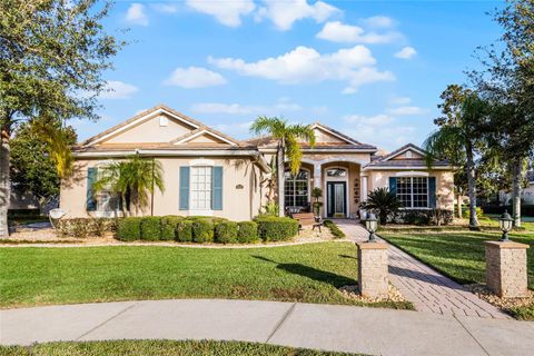 A home in MOUNT DORA