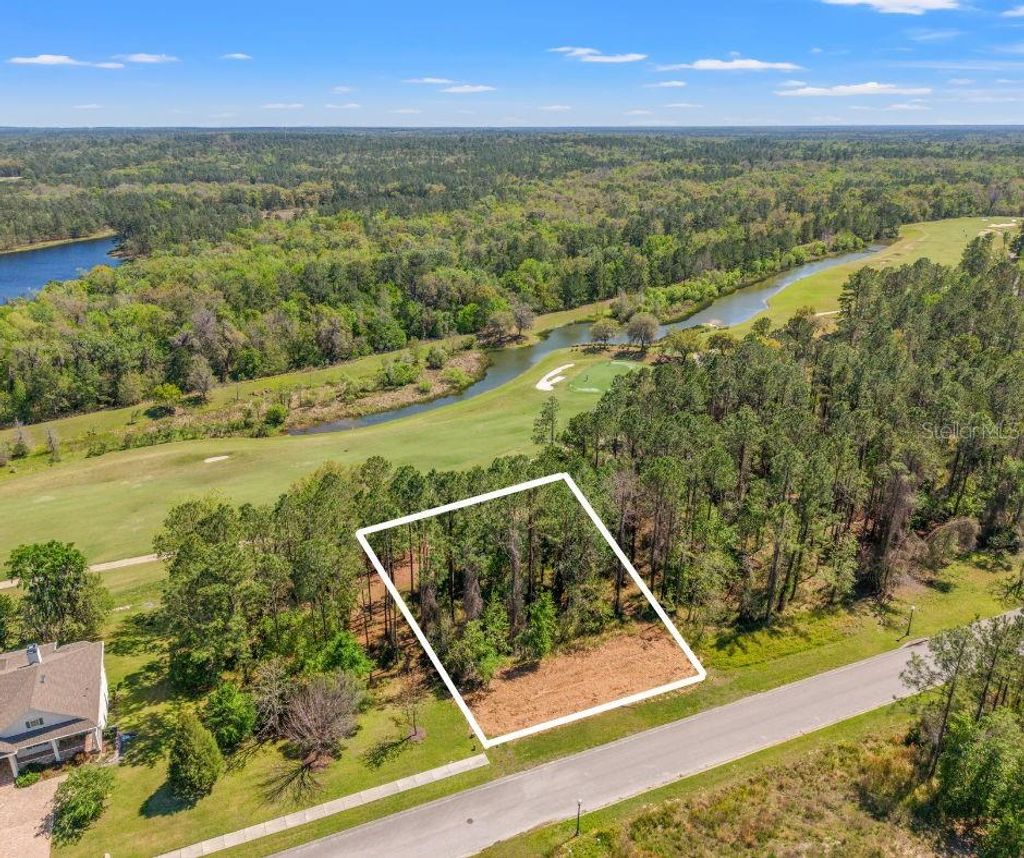 Photo of 20044 English Walnut Place, Brooksville, FL 34601 (MLS # W7873875)