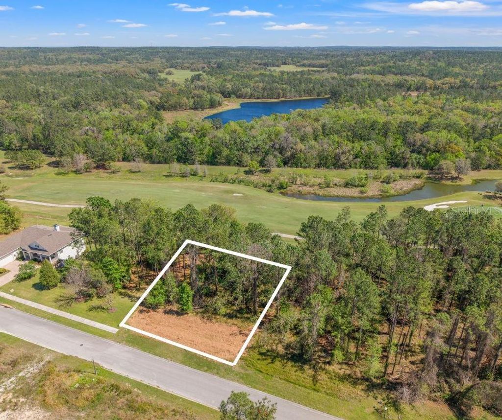 Photo of 20044 English Walnut Place, Brooksville, FL 34601 (MLS # W7873875)