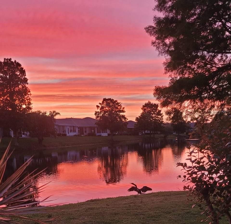 834 TREMONT GREENS LANE 137