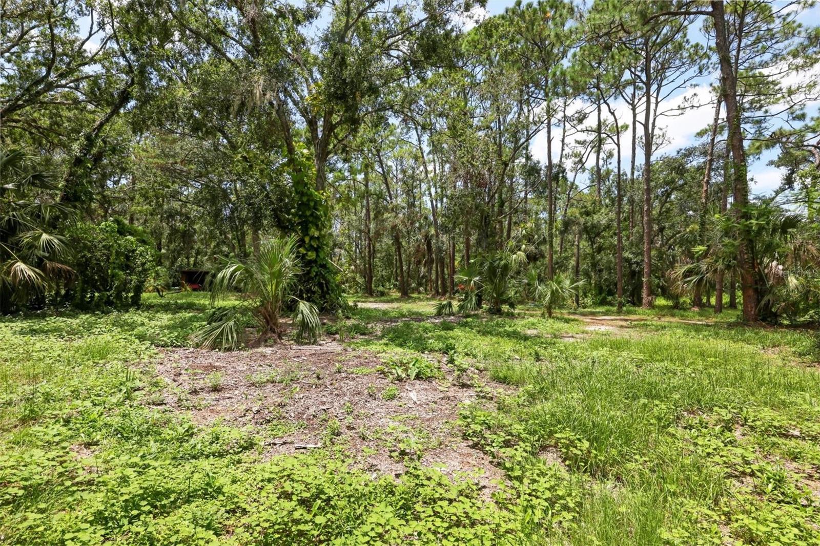 MAPLE GROVE ESTATES - Land