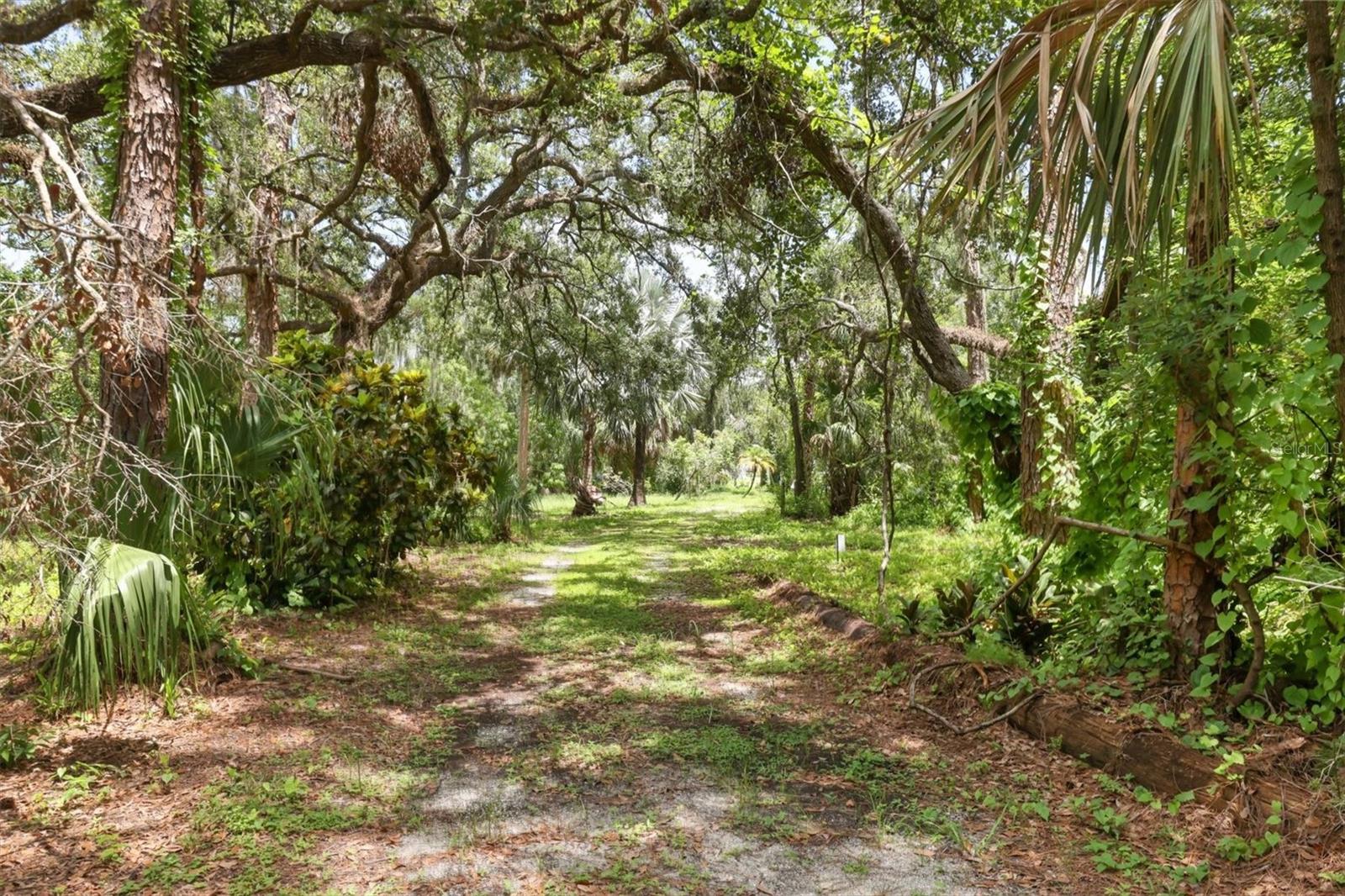 MAPLE GROVE ESTATES - Land