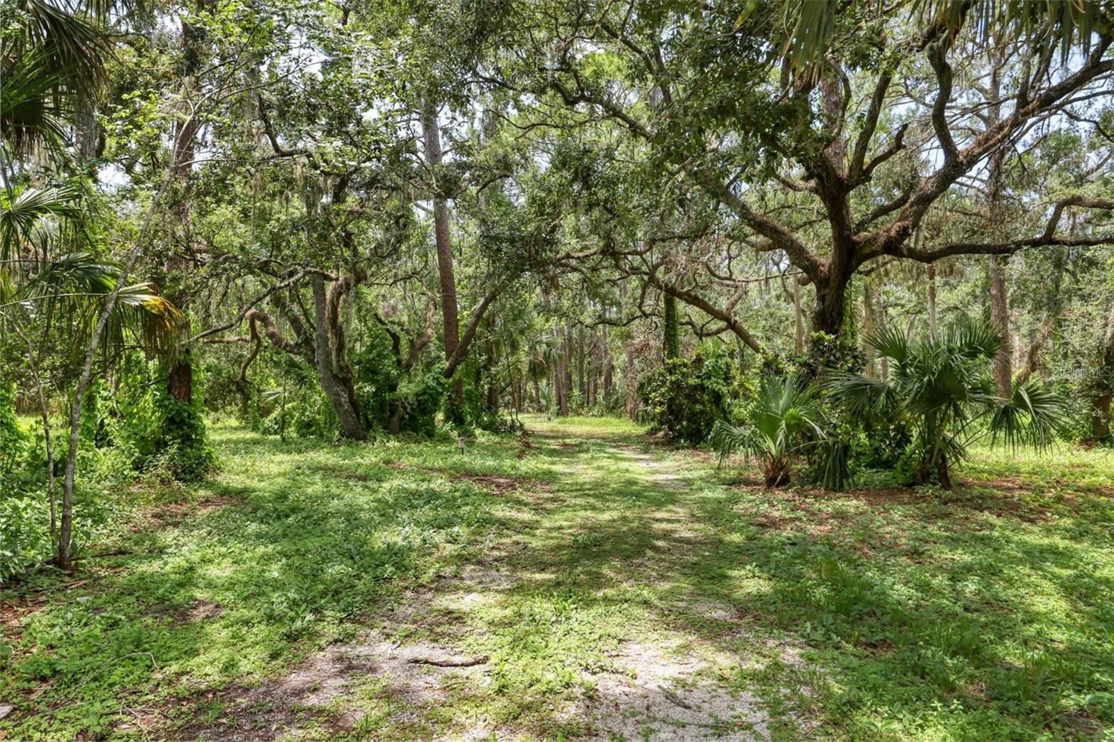 MAPLE GROVE ESTATES - Land