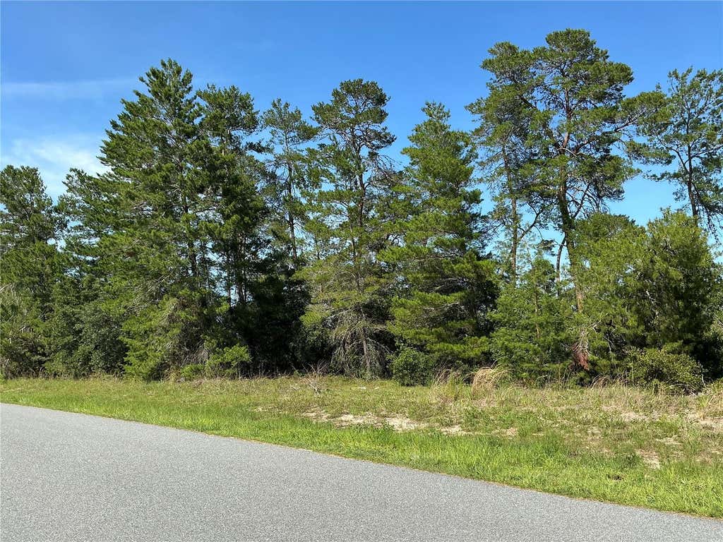 Photo of Tbd SW 35th Avenue Road, Ocala, FL 34473 (MLS # OM729497)