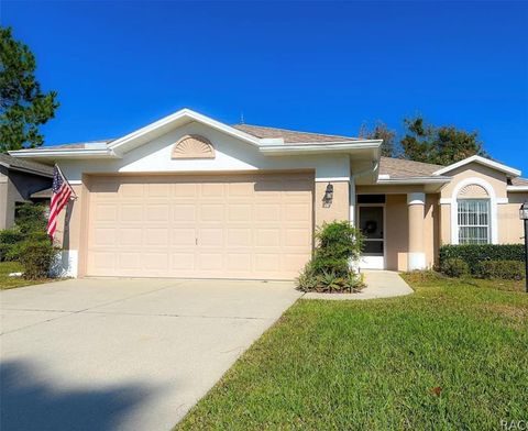 Photo of 1827 W Nicole Drive, Lecanto, FL 34461 (MLS # O6416441)