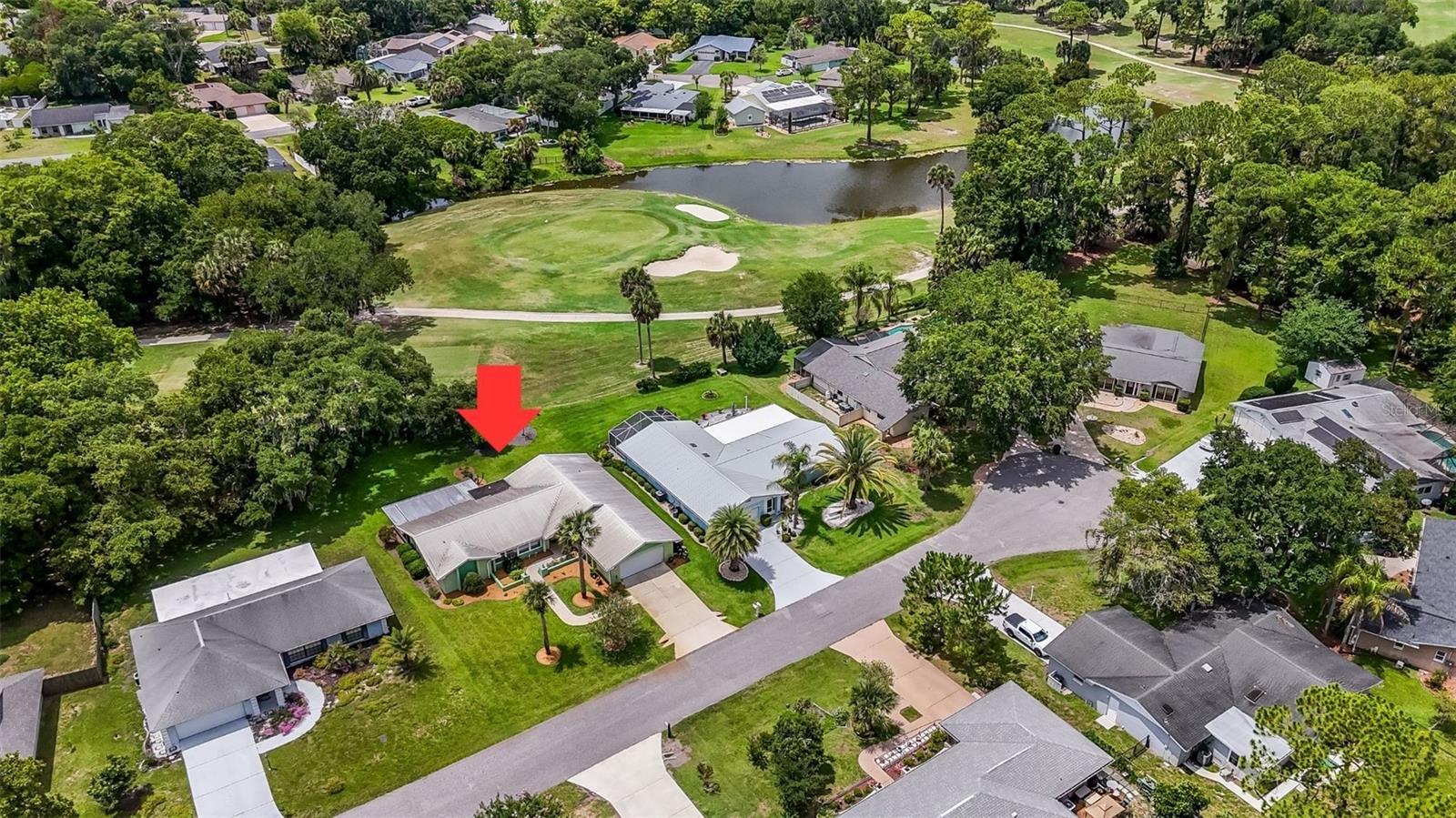 8 COURTNEY PLACE