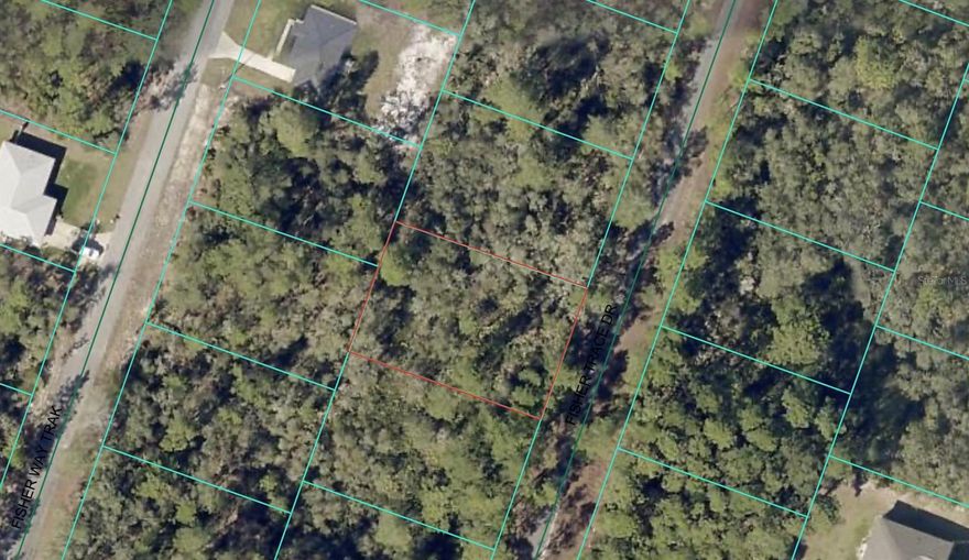 .24 ACRES READY FOR DEVELOPMENT, CLOSE TO STATE PARKS, LAKE WEIR, AND FEATURES THE PRIVACY OF OCKLAWAHA! NO HOA! INVESTORS AND BUILDERS THIS IS A GREAT OPPORTUNITY IN A UPCOMING AREA. MAKE AN OFFER TODAY! Seller Motivated.