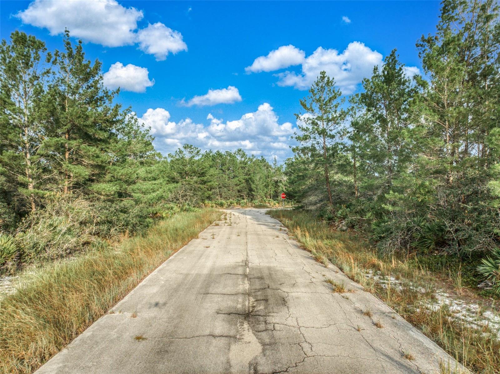 LEISURE LAKES SEC 17 - Land