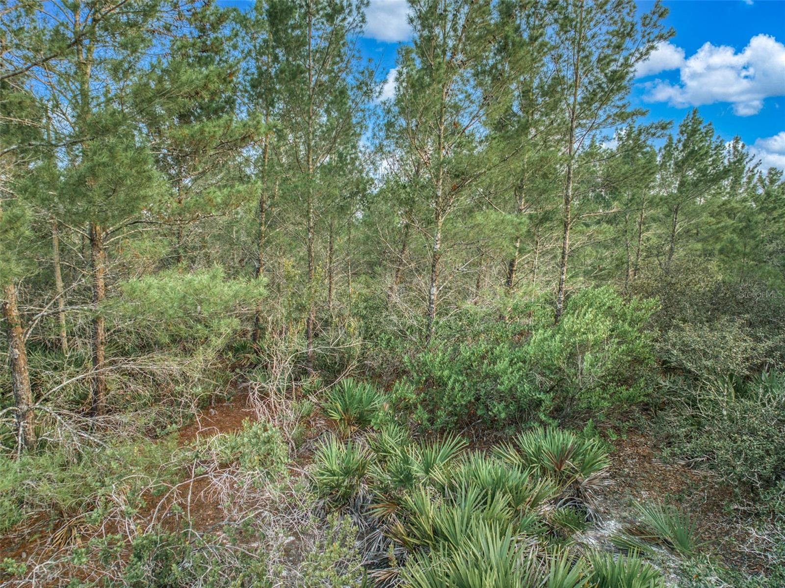 LEISURE LAKES SEC 17 - Land