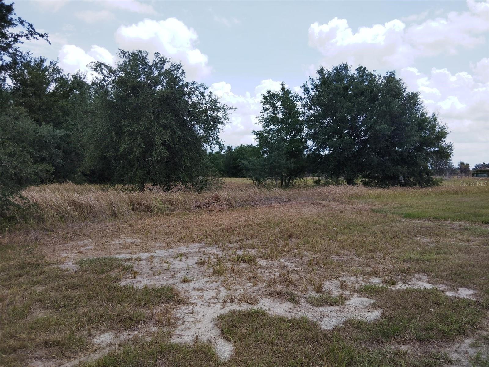 9236 TOLBERT STEPHENS ROAD