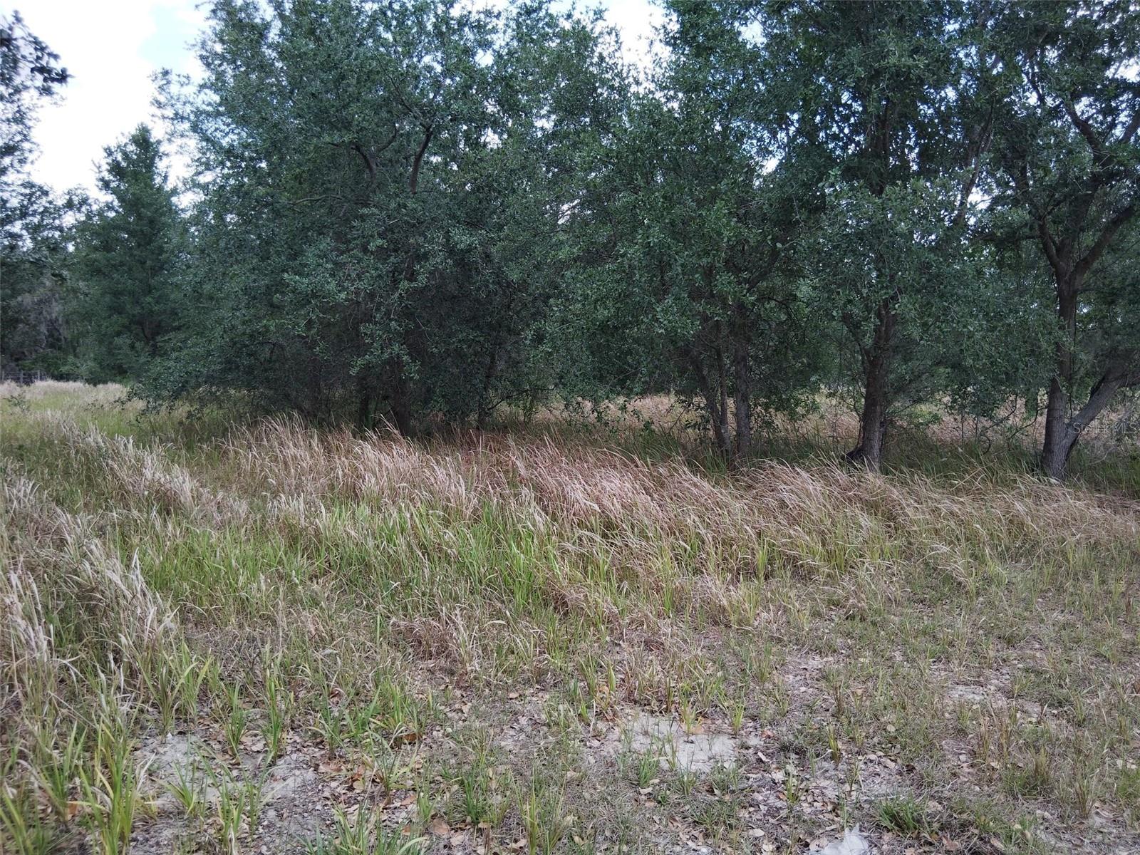 9236 TOLBERT STEPHENS ROAD