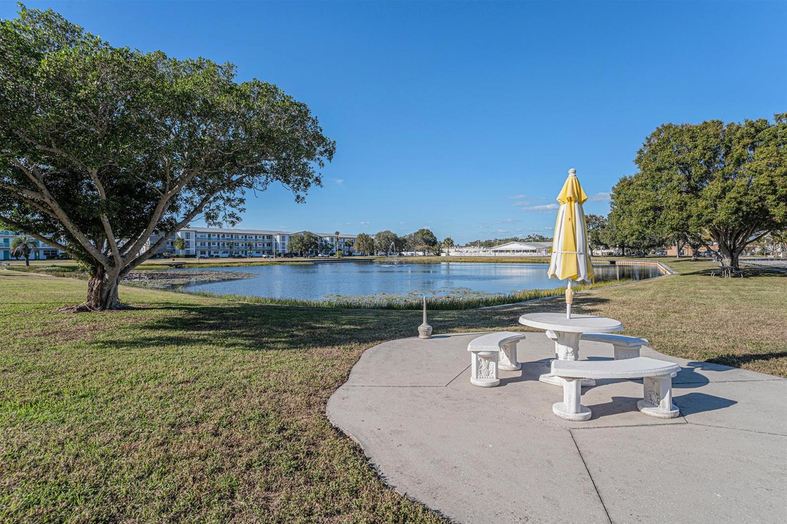 TOWN APTS CONDO - Residential