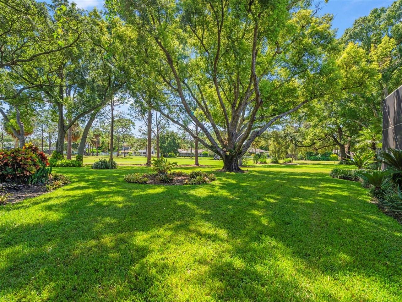 Photo 63 of 75 of 4405 CARROLLWOOD VILLAGE DRIVE house