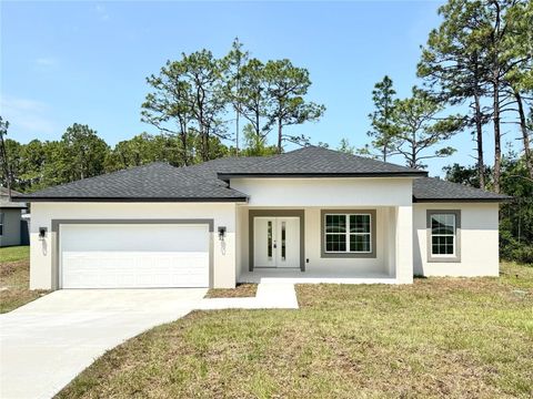 Photo of 7578 N Primrose Drive, Citrus Springs, FL 34434 (MLS # O6388277)