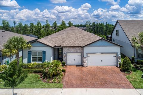Photo of 19133 Ship Wheel Way, Land O Lakes, FL 34638 (MLS # TB8511679)