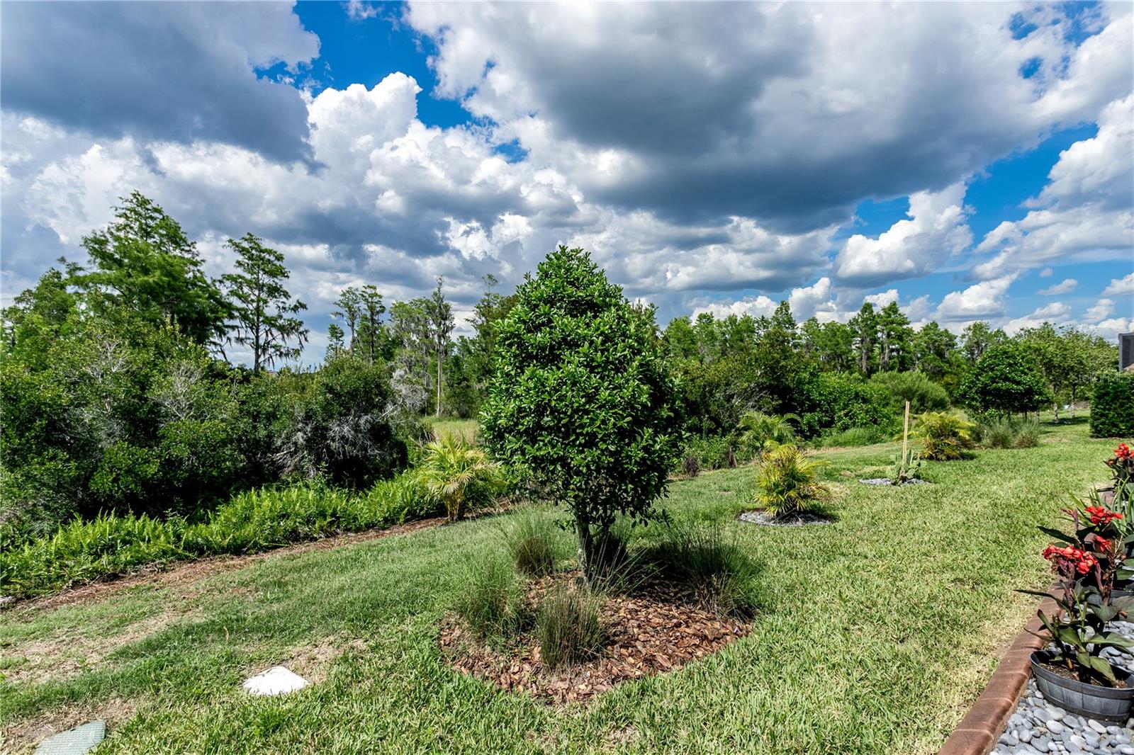 DEL WEBB BEXLEY PH 2 - Residential