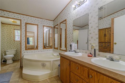Tiny photo for 19050 NE 3rd Court, Citra, FL 32113 (MLS # A4698315)