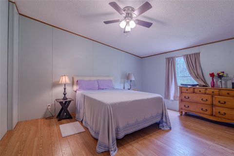 Tiny photo for 19050 NE 3rd Court, Citra, FL 32113 (MLS # A4698315)