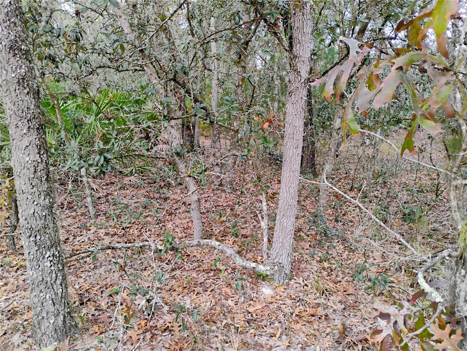 INTERLACHEN LAKES ESTATES - Land