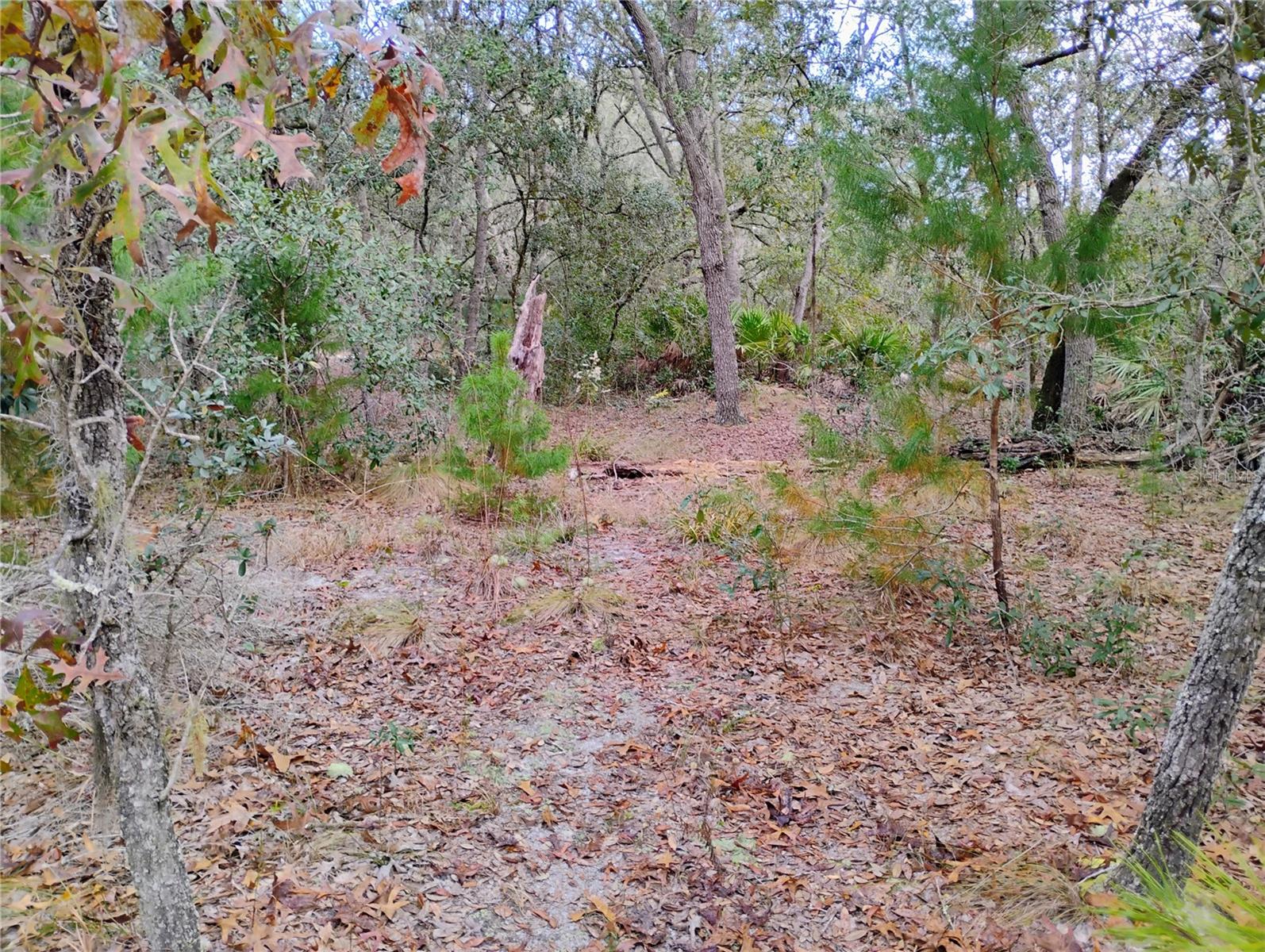 INTERLACHEN LAKES ESTATES - Land