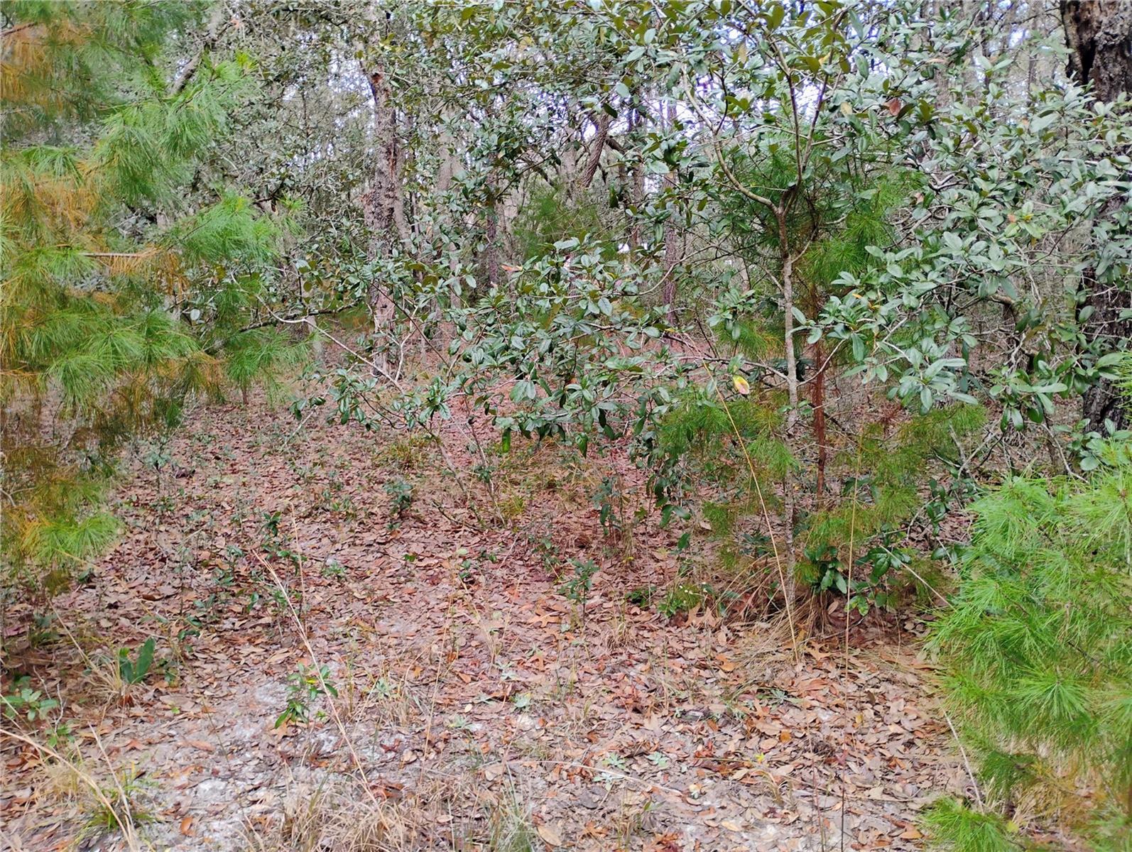 INTERLACHEN LAKES ESTATES - Land