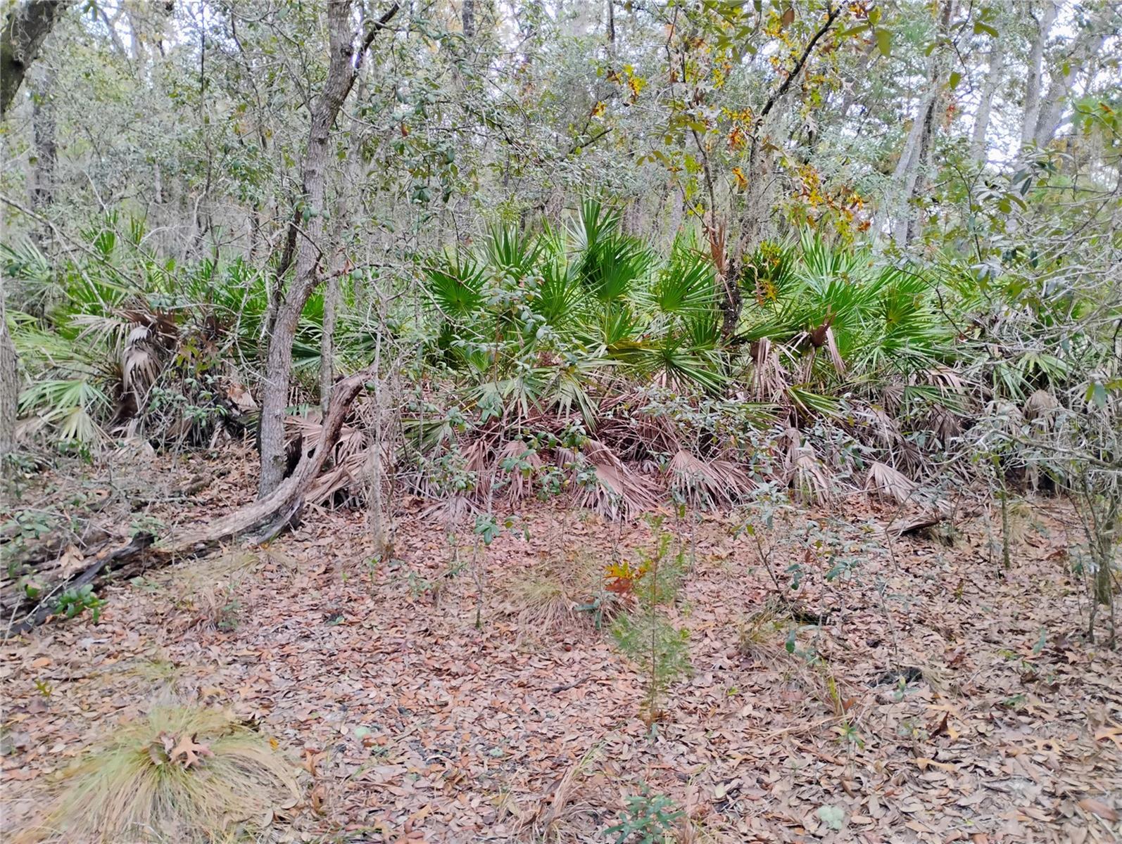 INTERLACHEN LAKES ESTATES - Land