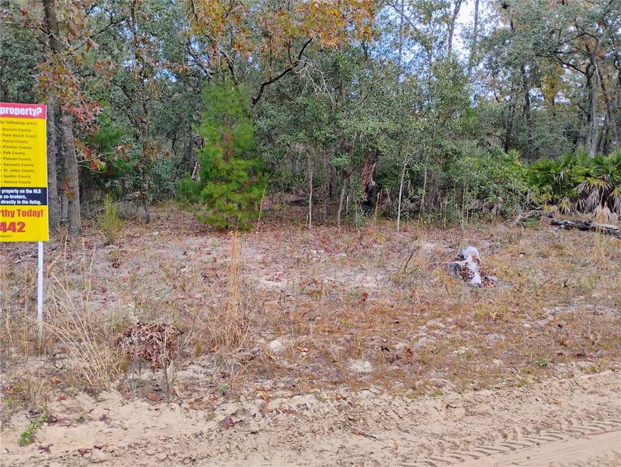 Nice Buildable lot Not in Wetlands please check with county on what usage is allowed, single family and mobile homes are in the area, has access close by to power pole, needs well and septic, owner financing with 50% down, growing area act now before it' to late..