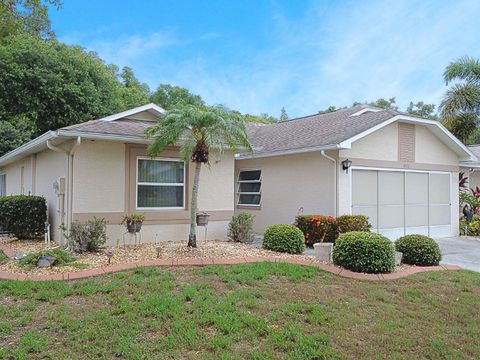 A home in SUN CITY CENTER