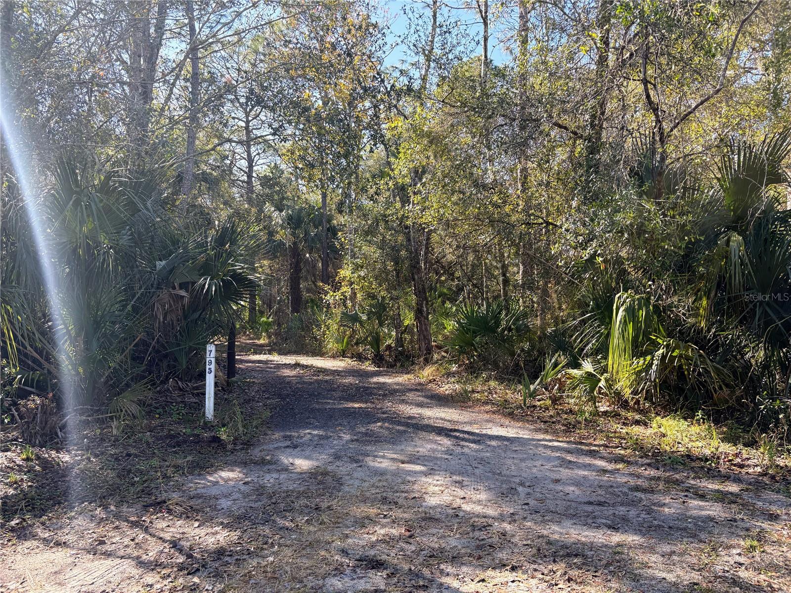 OSCEOLA ACRES 5 ACRE DEV - Residential