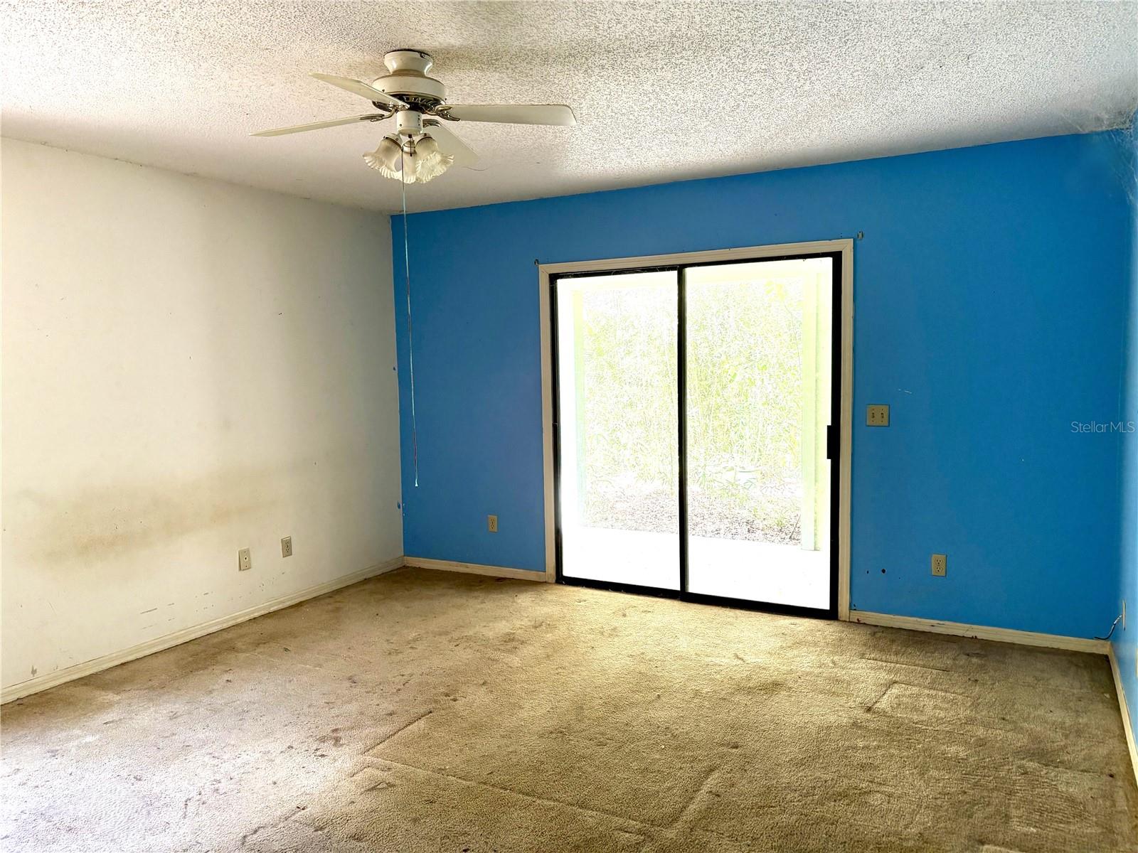 OSCEOLA ACRES 5 ACRE DEV - Residential