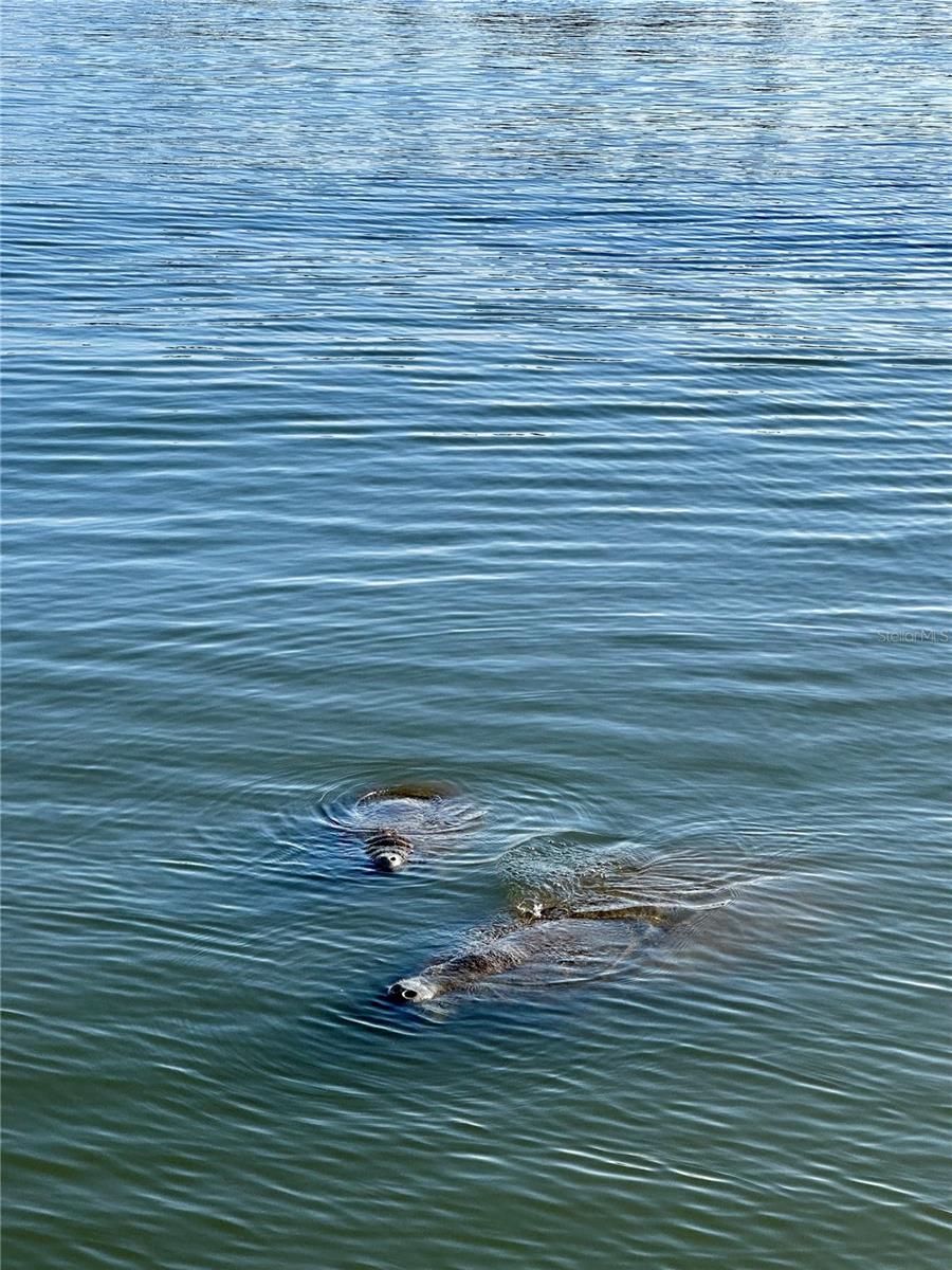 IMPERIAL COVE 13 - Residential Lease