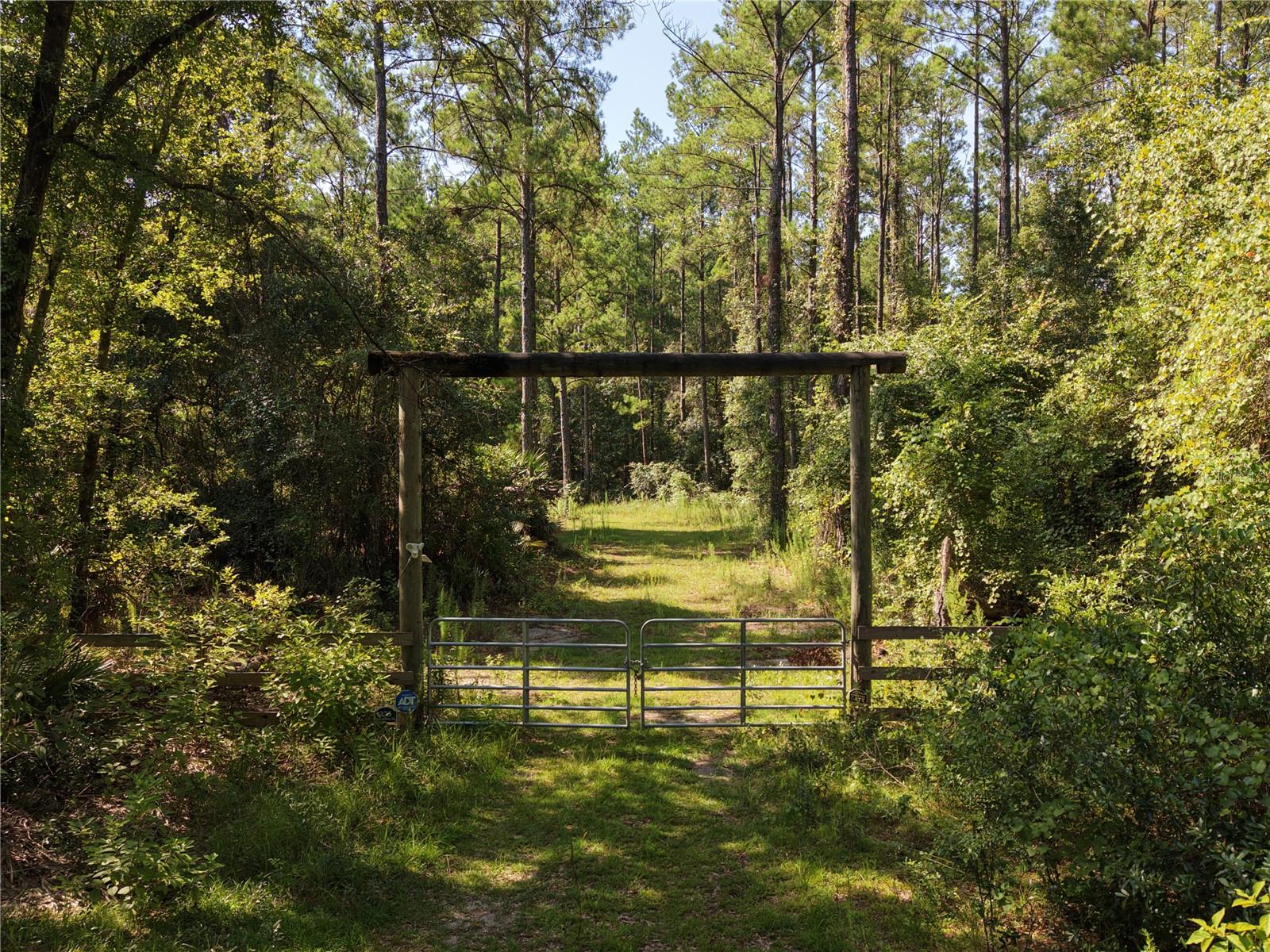375 BUCK SPRINGS ROAD