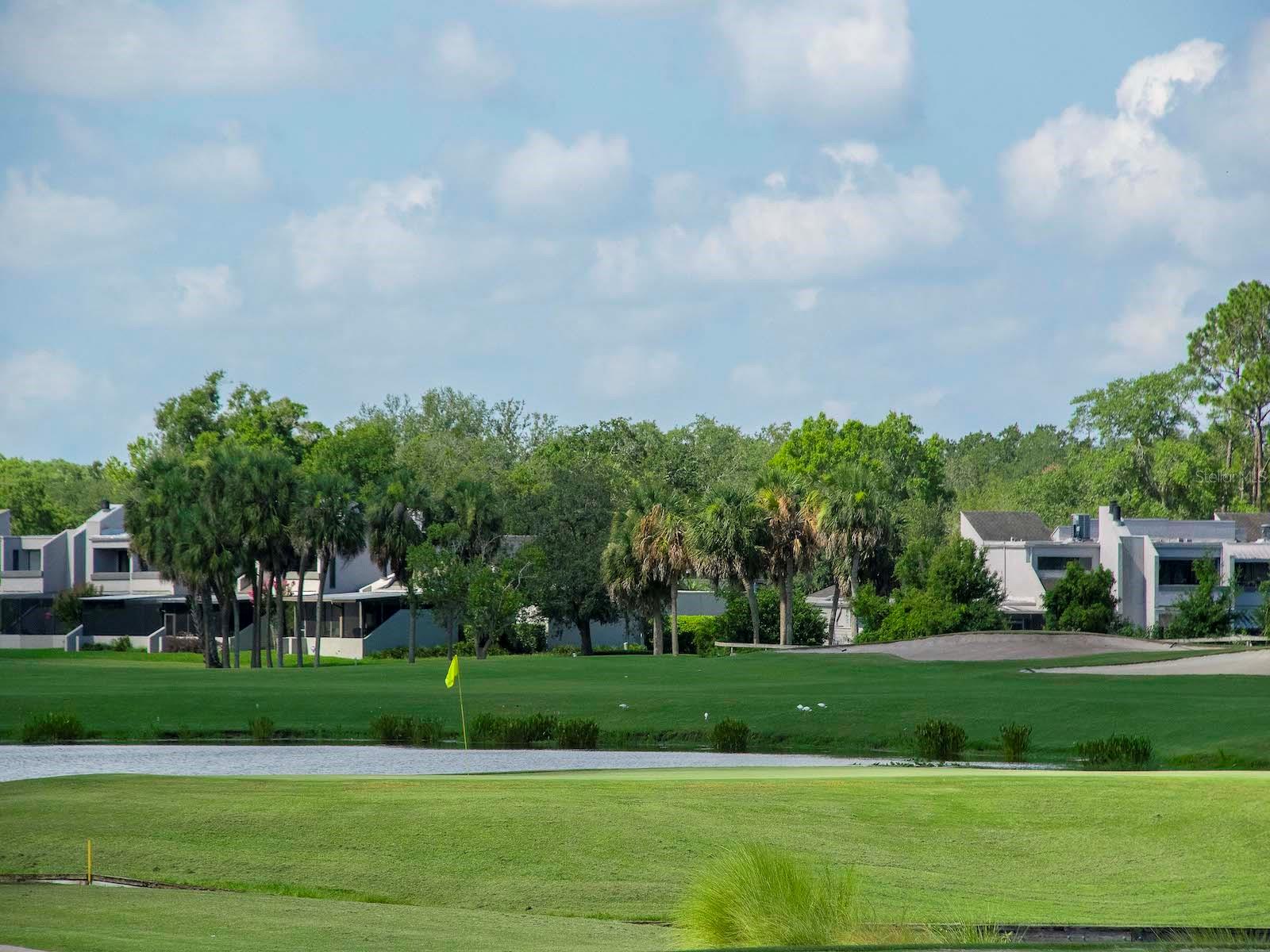 EMERALD GREEN VILLAS CONDOMINIUM ASSOCIA - Residential Lease