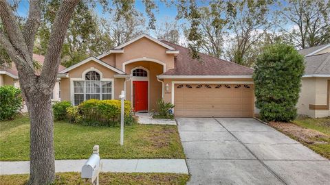 A home in TAMPA