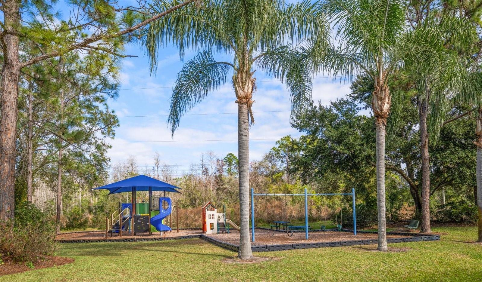 COVENTRY VILLAGE PH 1 - Residential