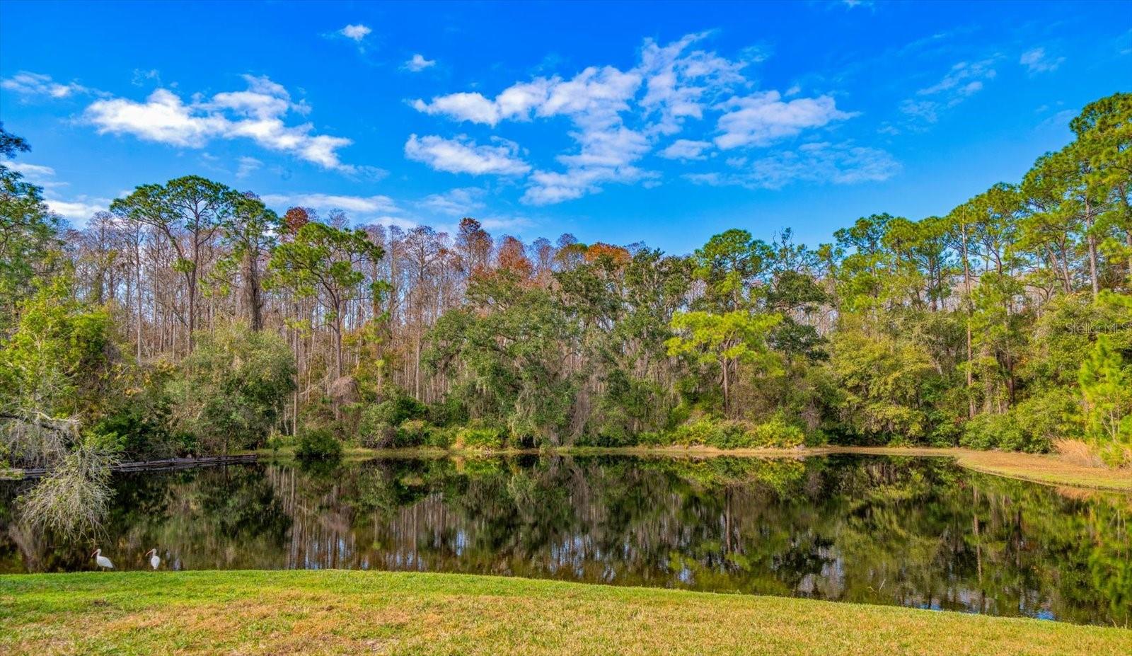 COVENTRY VILLAGE PH 1 - Residential