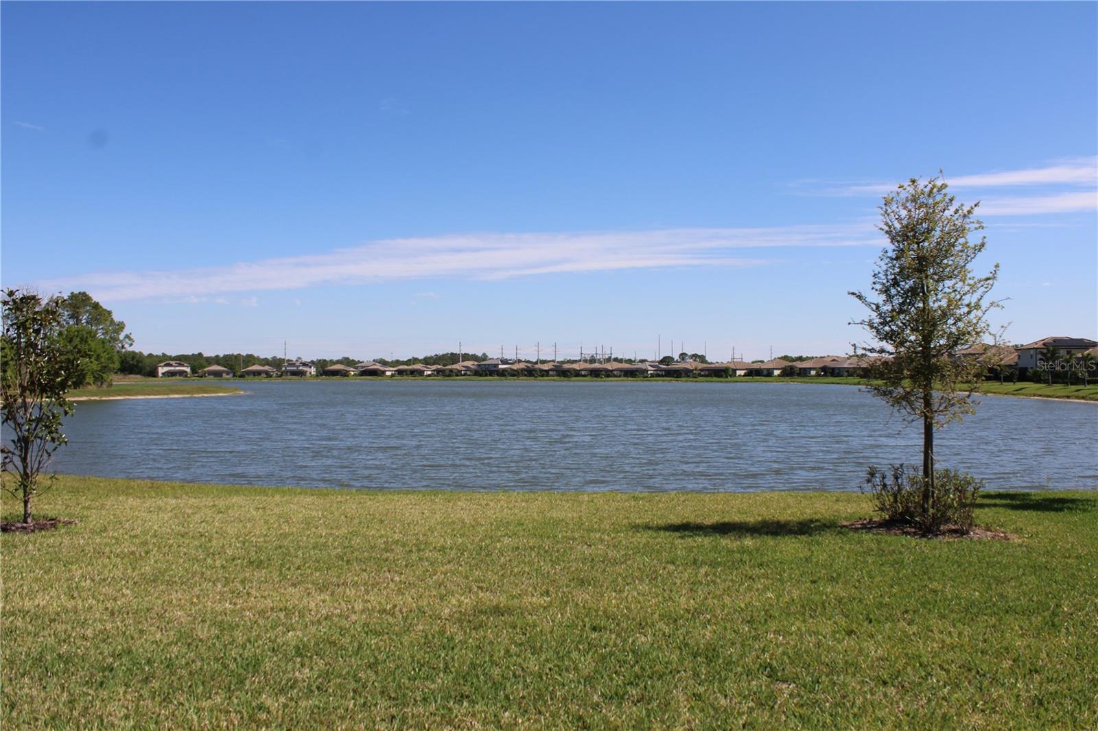 POLO RUN! This is an absolutely beautiful 3 bedroom 3 bathroom home with an open floor plan overlooking a large backyard and awesome lake with Eastern exposure for you to sit in the screened in lanai and enjoy a beautiful sunrise. Polo Run is a gated community that has a resort style pool along with a beautiful activity center, fitness center, sports courts that include tennis, pickle ball, bocce ball and basketball. This home is perfect for the transitional housing if you are new to the area or waiting for your next home to be built. Centrally located to everything that Lakewood Ranch has to offer such as shopping, fine dining, The Polo Fields and so much more. Contact us today as this is a highly desired area, you will not be disappointed. High Season Rental Rate $4,800 Month / High Season is January, February, March, Off season rental rate is $3,595 per Month / Off season is April - December 2025.