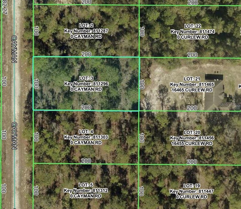 Photo of 16464 Cayman Road, Brooksville, FL 34614 (MLS # W7887736)