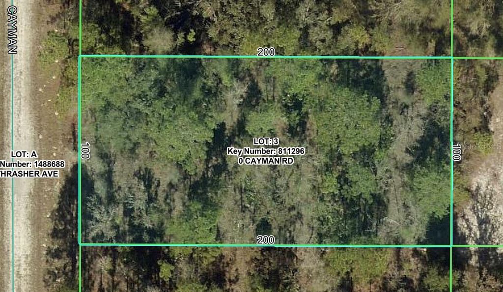 Photo of 16464 Cayman Road, Brooksville, FL 34614 (MLS # W7887736)