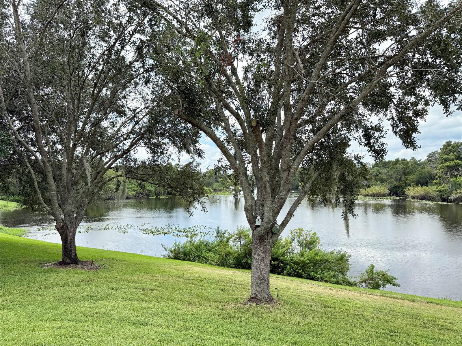 TERRACE RIVER PH 2 - Residential