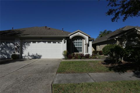 A home in LAND O LAKES